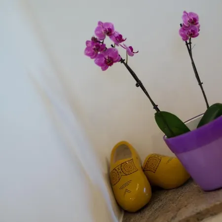 Apartman Jovic Apartment