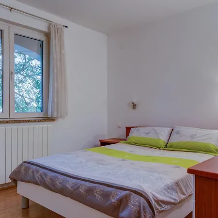 Apartman Jovic Apartment *