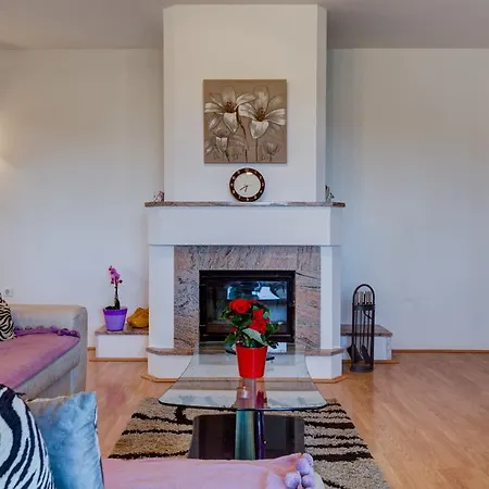 Apartman Jovic Apartment *